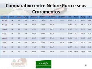 Comparativo entre Nelore Puro e seus
           Cruzamentos




                                   27
 