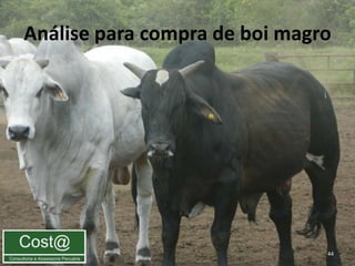 Análise para compra de boi magro




                               44
 
