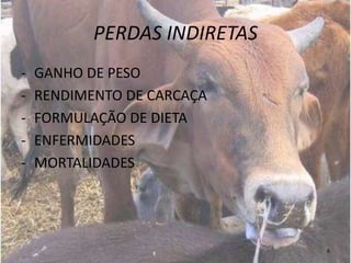 PERDAS INDIRETAS
-   GANHO DE PESO
-   RENDIMENTO DE CARCAÇA
-   FORMULAÇÃO DE DIETA
-   ENFERMIDADES
-   MORTALIDADES




                              6
 
