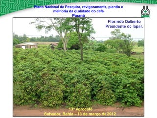 Plano Nacional de Pesquisa, revigoramento, plantio e
           melhoria da qualidade do café
                      Paraná
                                          Florindo Dalberto
                                         Presidente do Iapar.




                 13o Agrocafé
     Salvador, Bahia – 13 de março de 2012
 