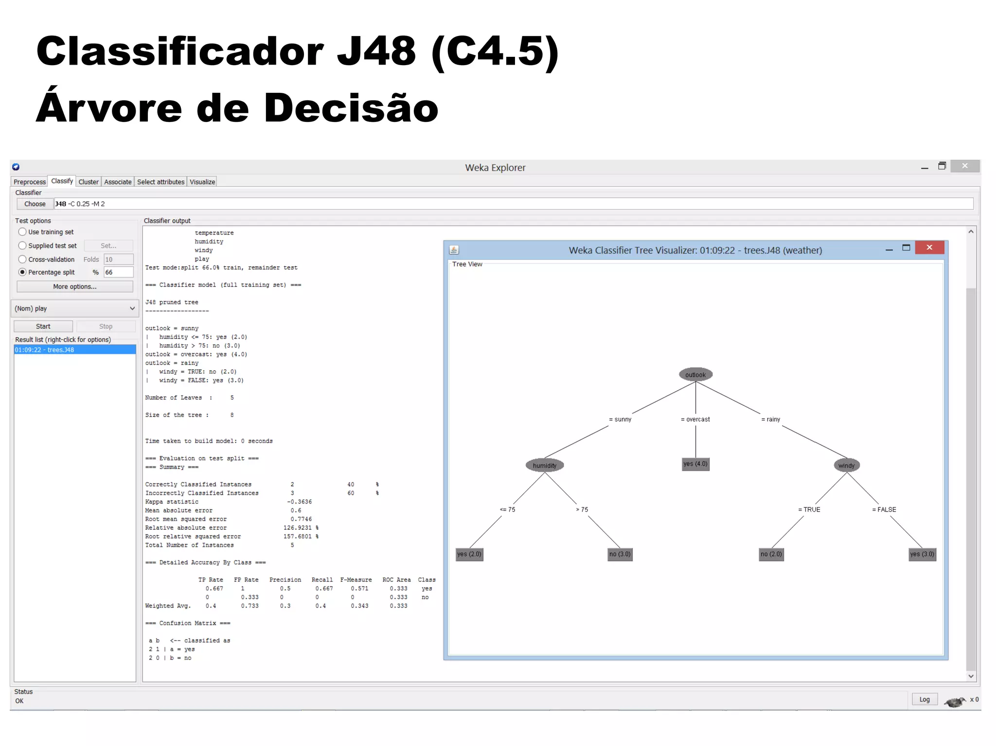 Classificador J48 (C4.5)
Árvore de Decisão
 