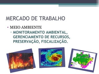 MERCADO DE TRABALHO
• MEIO AMBIENTE
  ▫ MONITORAMENTO AMBIENTAL,
    GERENCIAMENTO DE RECURSOS,
    PRESERVAÇÃO, FISCALIZAÇÃO.
 