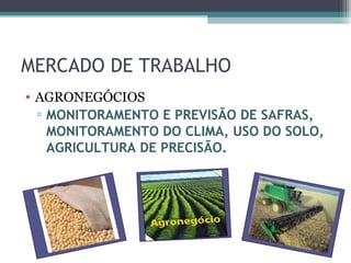 MERCADO DE TRABALHO
• AGRONEGÓCIOS
  ▫ MONITORAMENTO E PREVISÃO DE SAFRAS,
    MONITORAMENTO DO CLIMA, USO DO SOLO,
    AGRICULTURA DE PRECISÃO.
 