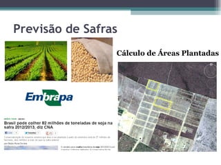 Previsão de Safras
                 Cálculo de Áreas Plantadas
 