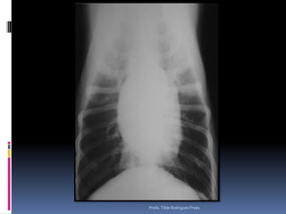 Profa. Tilde Rodrigues Froes