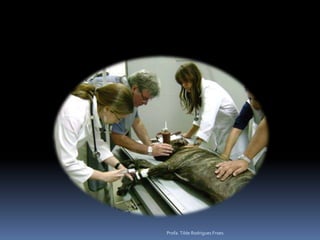 Profa. Tilde Rodrigues Froes