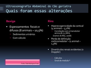 Profa. Tilde Rodrigues Froes