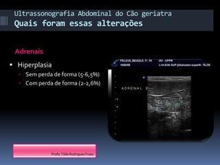 Profa. Tilde Rodrigues Froes