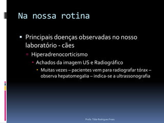 Video de adrenal hiperplasicaProfa. Tilde Rodrigues Froes