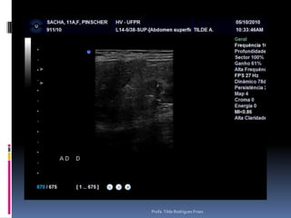 Profa. Tilde Rodrigues Froes