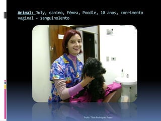 Afecções trato genital Fêmeas: Hemometra, mucometra e piometraPesquisar região de ováriosMachos: Hiperplasia prostática, nódulos e massas testicularesDificuldades – Hiperplasia prostática diferenciar de prostatite bacteriana associadaProfa. Tilde Rodrigues Froes