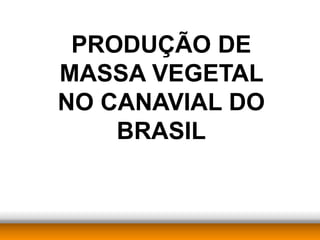 PRODUÇÃO DE
MASSA VEGETAL
NO CANAVIAL DO
    BRASIL
 
