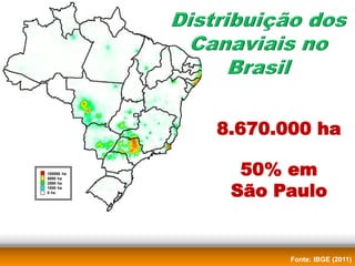 8.670.000 ha

100000 ha
5000 ha
              50% em
             São Paulo
2500 ha
1000 ha
0 ha




                   Fonte: IBGE (2011)
 
