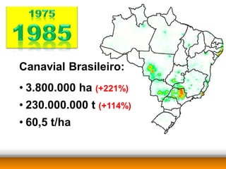 Canavial Brasileiro:
• 3.800.000 ha (+221%)
• 230.000.000 t (+114%)
• 60,5 t/ha
 