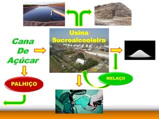 Usina
Sucroalcooleira
 