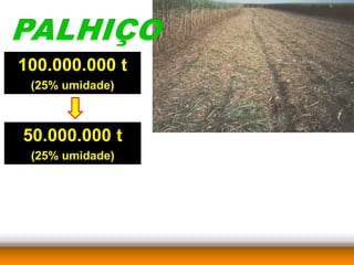 100.000.000 t
 (25% umidade)



50.000.000 t
 (25% umidade)
 