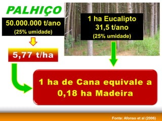 1 ha Eucalipto
50.000.000 t/ano
                     31,5 t/ano
  (25% umidade)
                    (25% umidade)




                          Fonte: Afonso et al (2006)
 