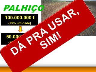100.000.000 t
 (25% umidade)



50.000.000 t
 (25% umidade)
 
