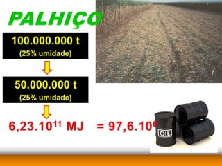 100.000.000 t
 (25% umidade)



50.000.000 t
 (25% umidade)
 