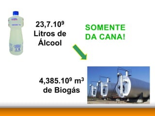 23,7.109
Litros de
 Álcool



 4,385.109 m3
  de Biogás
 