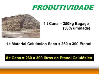 1 t Cana = 250kg Bagaço
                               (50% umidade)



1 t Material Celulósico Seco ≈ 260 a 300 Etanol


8 t Cana = 260 a 300 litros de Etanol Celulósico
 