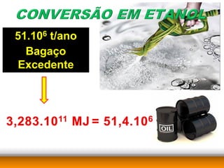 51.106 t/ano
  Bagaço
Excedente
 