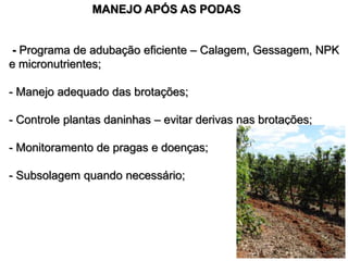 MANEJO APÓS AS PODAS


- Programa de adubação eficiente – Calagem, Gessagem, NPK
e micronutrientes;

- Manejo adequado das brotações;

- Controle plantas daninhas – evitar derivas nas brotações;

- Monitoramento de pragas e doenças;

- Subsolagem quando necessário;
 