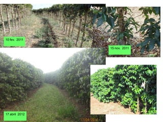 10 fev. 2011

                15 nov. 2011




17 abril 2012
 