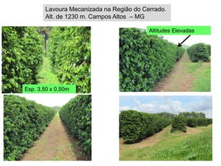 Lavoura Mecanizada na Região do Cerrado.
       Alt. de 1230 m. Campos Altos – MG

                                         Altitudes Elevadas




Esp. 3,50 x 0,50m
 