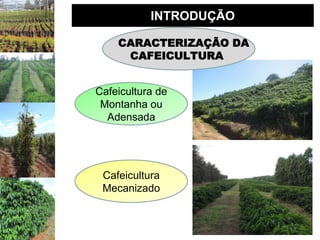 INTRODUÇÃO

    CARACTERIZAÇÃO DA
     CAFEICULTURA


Cafeicultura de
 Montanha ou
  Adensada




 Cafeicultura
 Mecanizado
 