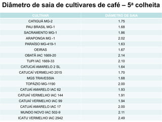 Diâmetro de saia de cultivares de café – 5a colheita
            CULTIVAR             DIÂMETRO DE SAIA
          CATIGUÁ MG-2                 1.75
         PAU BRASIL MG-1               1.68
        SACRAMENTO MG-1                1.86
         ARAPONGA MG -1                2.02
        PARAÍSO MG-419-1               1.63
             OEIRAS                    1.67
        OBATÃ IAC 1669-20              2.14
         TUPI IAC 1669-33              2.10
      CATUCAÍ AMARELO 2 SL             1.64
     CATUCAÍ VERMELHO 2015             1.70
         MGS TRAVESSIA                 1.68
        TOPÁZIO MG-1190                2.00
      CATUAÍ AMARELO IAC 62            1.93
     CATUAÍ VERMELHO IAC 144           1.91
     CATUAÍ VERMELHO IAC 99            1.94
      CATUAÍ AMARELO IAC 17            2.00
      MUNDO NOVO IAC 502-9             2.11
     ICATU VERMELHO IAC 2942           2.49
 