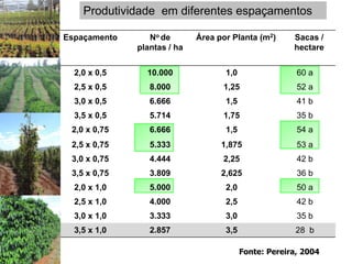 Produtividade em diferentes espaçamentos

Espaçamento      No de       Área por Planta (m2)      Sacas /
              plantas / ha                             hectare


  2,0 x 0,5     10.000              1,0                 60 a
  2,5 x 0,5      8.000             1,25                 52 a
  3,0 x 0,5      6.666              1,5                 41 b
  3,5 x 0,5      5.714             1,75                 35 b
 2,0 x 0,75      6.666              1,5                 54 a
 2,5 x 0,75      5.333             1,875                53 a
 3,0 x 0,75      4.444             2,25                 42 b
 3,5 x 0,75      3.809             2,625                36 b
  2,0 x 1,0      5.000              2,0                 50 a
  2,5 x 1,0      4.000              2,5                 42 b
  3,0 x 1,0      3.333              3,0                 35 b
  3,5 x 1,0      2.857              3,5                 28 b

                                          Fonte: Pereira, 2004
 