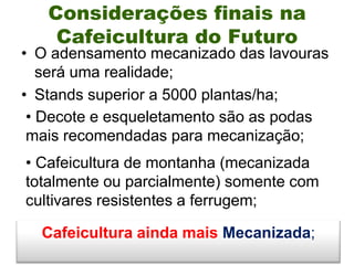 Considerações finais na
    Cafeicultura do Futuro
• O adensamento mecanizado das lavouras
   será uma realidade;
• Stands superior a 5000 plantas/ha;
 • Decote e esqueletamento são as podas
 mais recomendadas para mecanização;
• Cafeicultura de montanha (mecanizada
totalmente ou parcialmente) somente com
cultivares resistentes a ferrugem;

  Cafeicultura ainda mais Mecanizada;
 