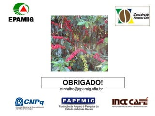 OBRIGADO!
carvalho@epamig.ufla.br
 