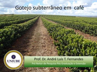 Gotejo subterrâneo em café
Prof. Dr. André Luís T. Fernandes
Pró Reitor de Pesquisa Pós Graduação e Extensão
 