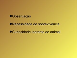 Observação Necessidade de sobrevivência Curiosidade inerente ao animal 