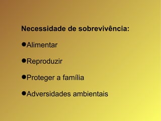 Necessidade de sobrevivência: Alimentar Reproduzir Proteger a família Adversidades ambientais 
