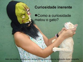Curiosidade inerente Como a curiosidade  matou o gato? Além da modelo, nenhum outro animal sofreu maus tratos na realização desta fotografia. 