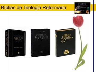 Bíblias de Teologia Reformada
 