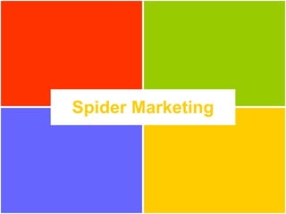 Spider Marketing 