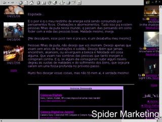 Spider Marketing 