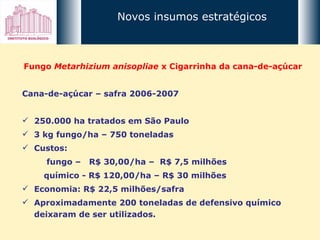 Fungo  Metarhizium anisopliae  x   Cigarrinha da cana-de-açúcar Cana-de-açúcar – safra 2006-2007 250.000 ha tratados em São Paulo 3 kg fungo/ha – 750 toneladas Custos:  fungo –  R$ 30,00/ha –  R$ 7,5 milhões químico - R$ 120,00/ha – R$ 30 milhões Economia: R$ 22,5 milhões/safra Aproximadamente 200 toneladas de defensivo químico deixaram de ser utilizados. Novos insumos estratégicos 
