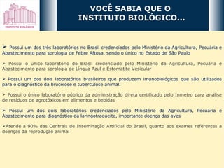 VOCÊ SABIA QUE O  INSTITUTO BIOLÓGICO... Possui um dos três laboratórios no Brasil credenciados pelo Ministério da Agricultura, Pecuária e Abastecimento para sorologia de Febre Aftosa, sendo o único no Estado de São Paulo Possui o único laboratório do Brasil credenciado pelo Ministério da Agricultura, Pecuária e Abastecimento para sorologia de Língua Azul e Estomatite Vesicular Possui um dos dois laboratórios brasileiros que produzem imunobiológicos que são utilizados para o diagnóstico da brucelose e tuberculose animal. Possui o único laboratório público da administração direta certificado pelo Inmetro para análise de resíduos de agrotóxicos em alimentos e bebidas Possui um dos dois laboratórios credenciados pelo Ministério da Agricultura, Pecuária e Abastecimento para diagnóstico da laringotraqueite, importante doença das aves Atende a 90% das Centrais de Inseminação Artificial do Brasil, quanto aos exames referentes a doenças da reprodução animal 