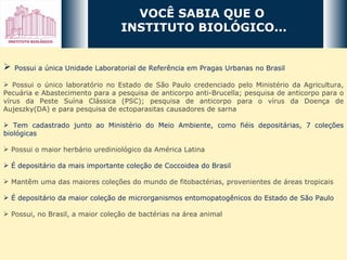 VOCÊ SABIA QUE O  INSTITUTO BIOLÓGICO... Possui a única Unidade Laboratorial de Referência em Pragas Urbanas no Brasil  Possui o único laboratório no Estado de São Paulo credenciado pelo Ministério da Agricultura, Pecuária e Abastecimento para a pesquisa de anticorpo anti-Brucella; pesquisa de anticorpo para o vírus da Peste Suína Clássica (PSC); pesquisa de anticorpo para o vírus da Doença de Aujeszky(DA) e para pesquisa de ectoparasitas causadores de sarna Tem cadastrado junto ao Ministério do Meio Ambiente, como fiéis depositárias, 7 coleções biológicas Possui o maior herbário urediniológico da América Latina É depositário da mais importante coleção de Coccoidea do Brasil  Mantêm uma das maiores coleções do mundo de fitobactérias, provenientes de áreas tropicais É depositário da maior coleção de microrganismos entomopatogênicos do Estado de São Paulo Possui, no Brasil, a maior coleção de bactérias na área animal 