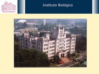 Instituto Biológico 