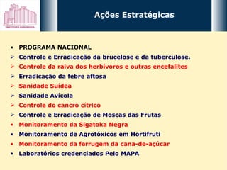 Ações Estratégicas PROGRAMA NACIONAL  Controle e Erradicação da brucelose e da tuberculose. Controle da raiva dos herbívoros e outras encefalites Erradicação da febre aftosa  Sanidade Suídea Sanidade Avícola Controle do cancro cítrico Controle e Erradicação de Moscas das Frutas Monitoramento da Sigatoka Negra Monitoramento de Agrotóxicos em Hortifruti Monitoramento da ferrugem da cana-de-açúcar Laboratórios credenciados Pelo MAPA 