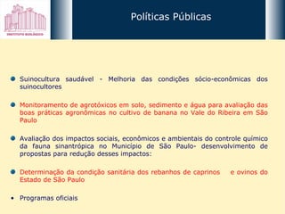Suinocultura saudável - Melhoria das condições sócio-econômicas dos suinocultores Monitoramento de agrotóxicos em solo, sedimento e água para avaliação das boas práticas agronômicas no cultivo de banana no Vale do Ribeira em São Paulo Avaliação dos impactos sociais, econômicos e ambientais do controle químico da fauna sinantrópica no Município de São Paulo- desenvolvimento de propostas para redução desses impactos: Determinação da condição sanitária dos rebanhos de caprinos  e ovinos do Estado de São Paulo Programas oficiais Políticas Públicas 