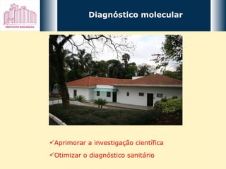 Diagnóstico molecular Aprimorar a investigação científica Otimizar o diagnóstico sanitário 