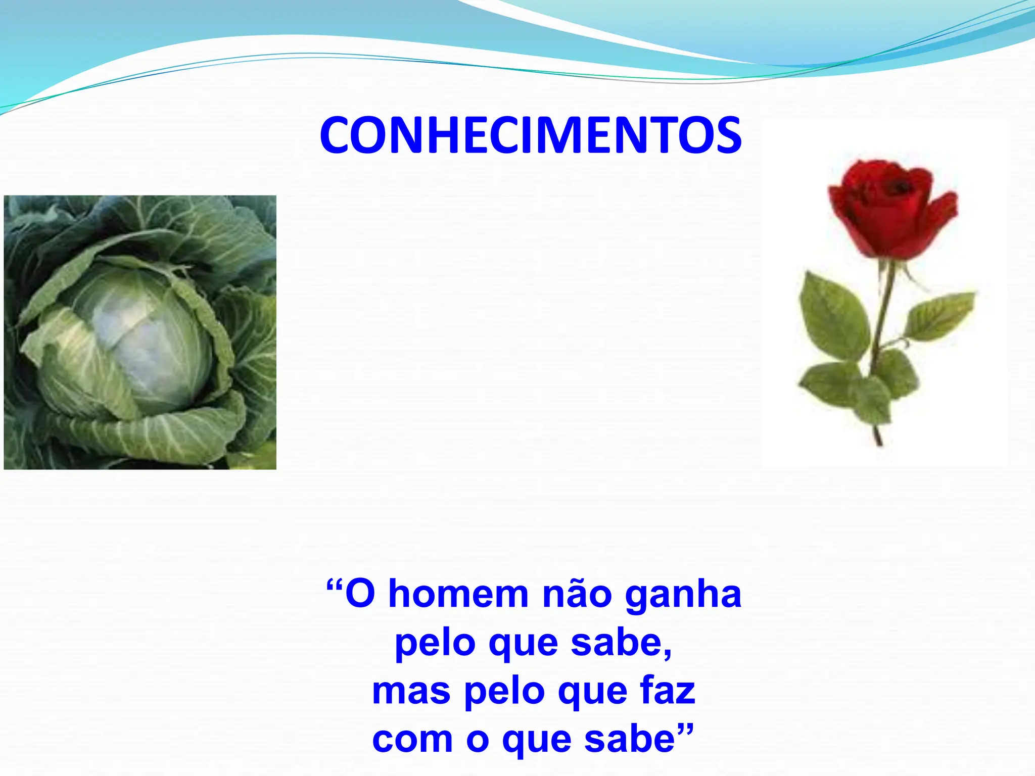 CONHECIMENTOS
“O homem não ganha
pelo que sabe,
mas pelo que faz
com o que sabe”
 