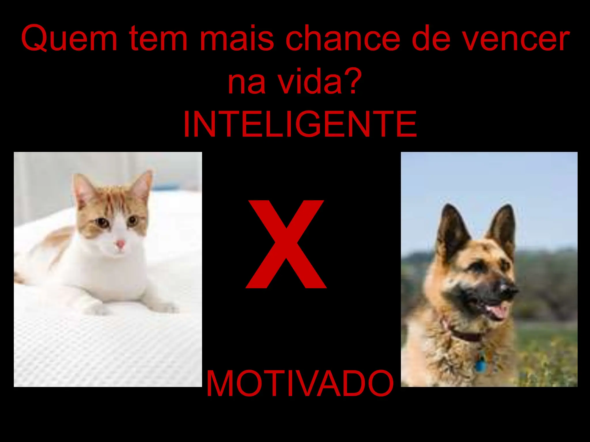 Quem tem mais chance de vencer
na vida?
INTELIGENTE
MOTIVADO
X
 